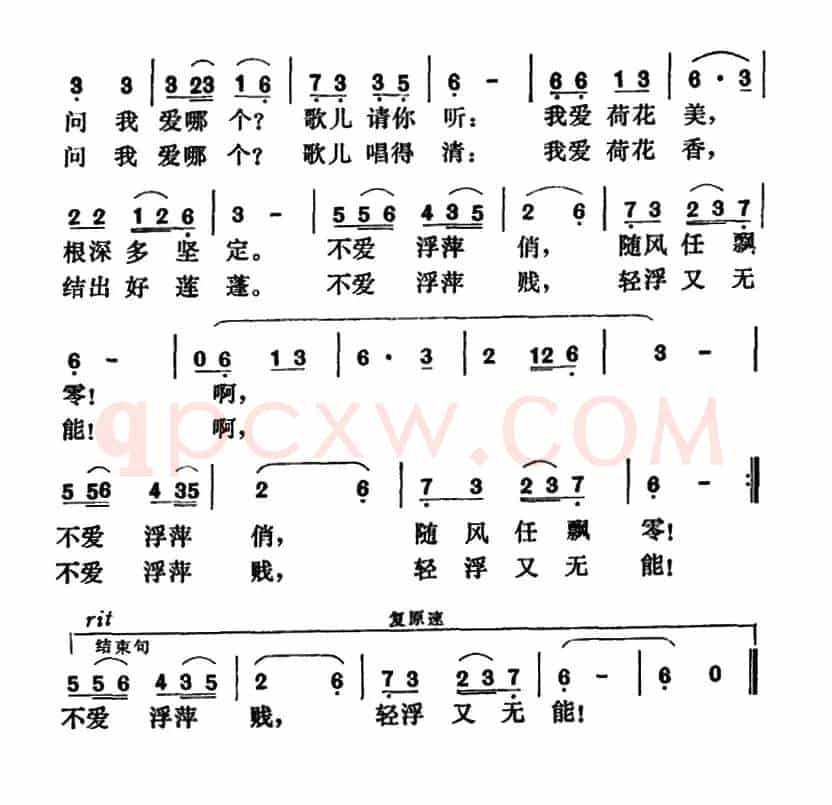荷花与浮萍