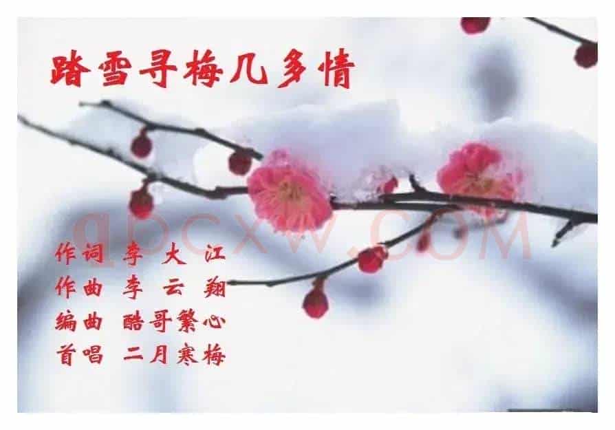 踏雪寻梅几多情