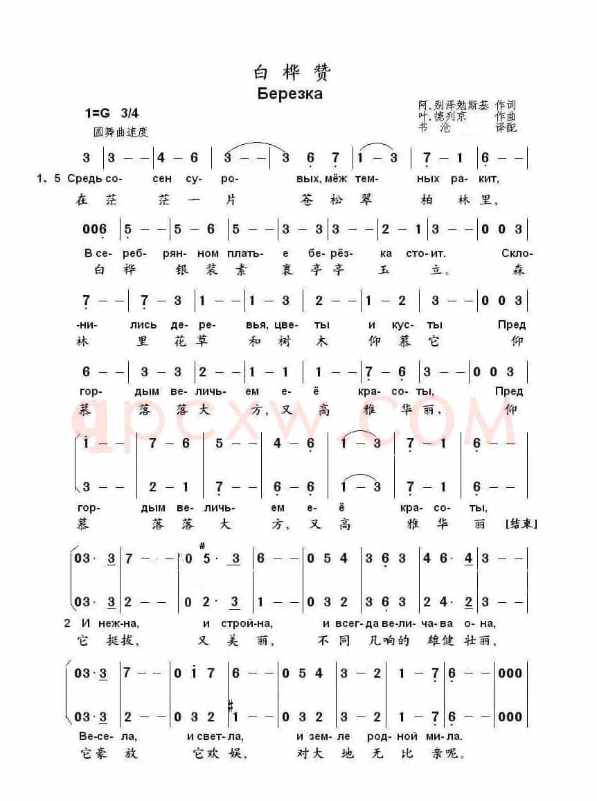 白桦赞Березка（中俄简谱）
