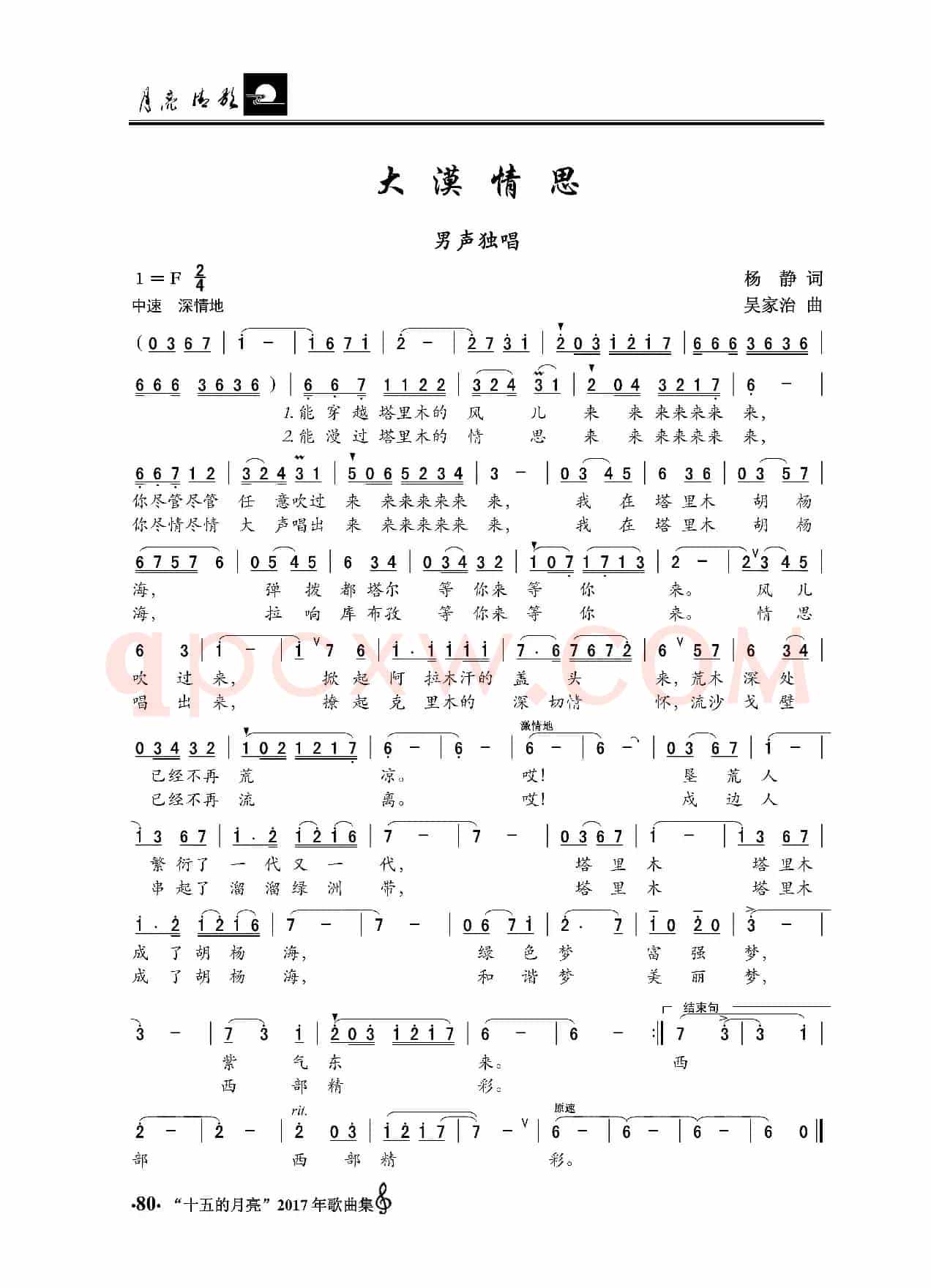 大漠情思