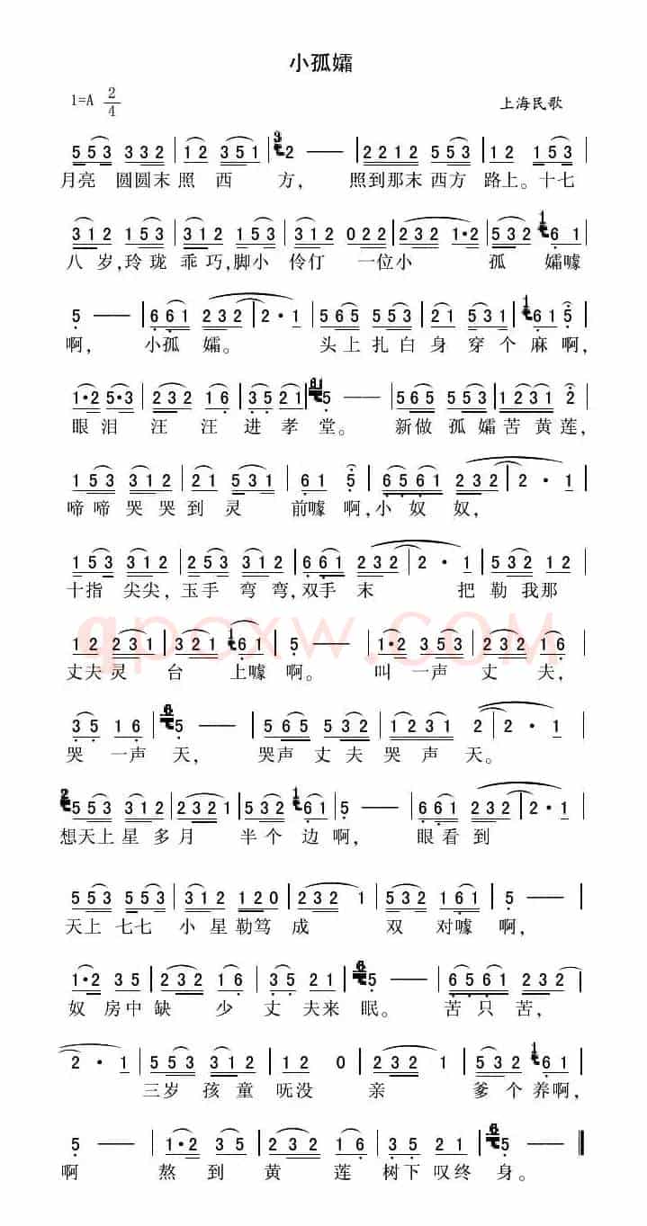 小孤孀