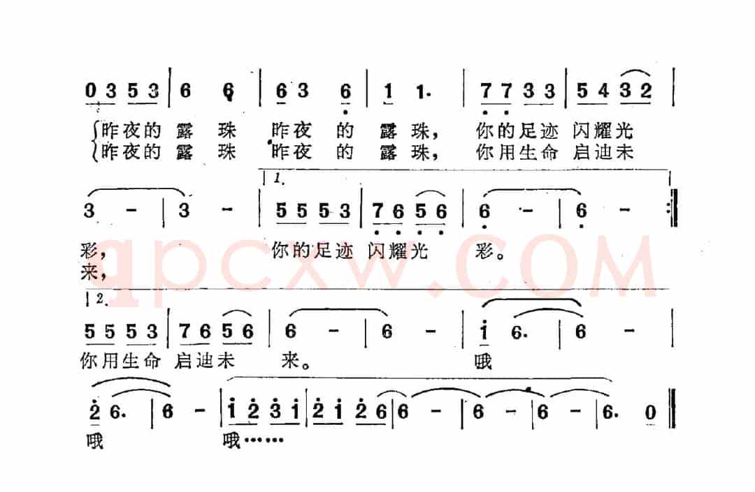 昨夜的露珠
