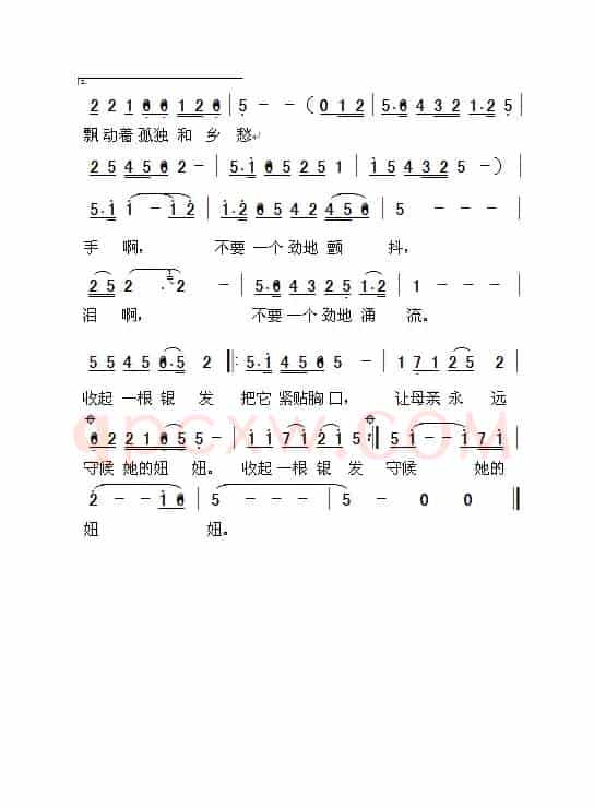 最后一次为母亲梳头