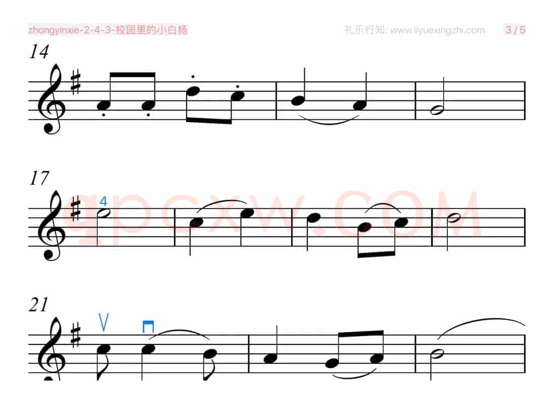 校园里的小白杨（小提琴）