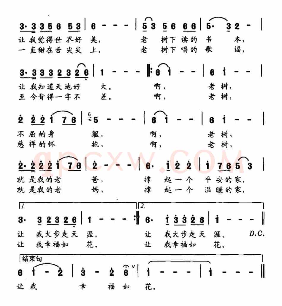 老树（朱继平词 侯基明曲）