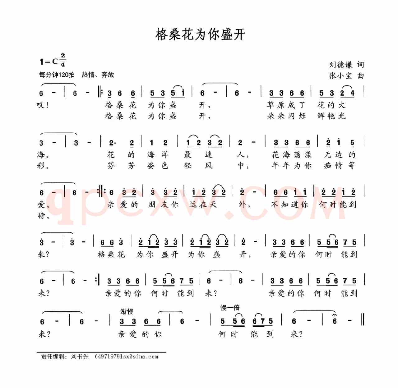 格桑花为你盛开