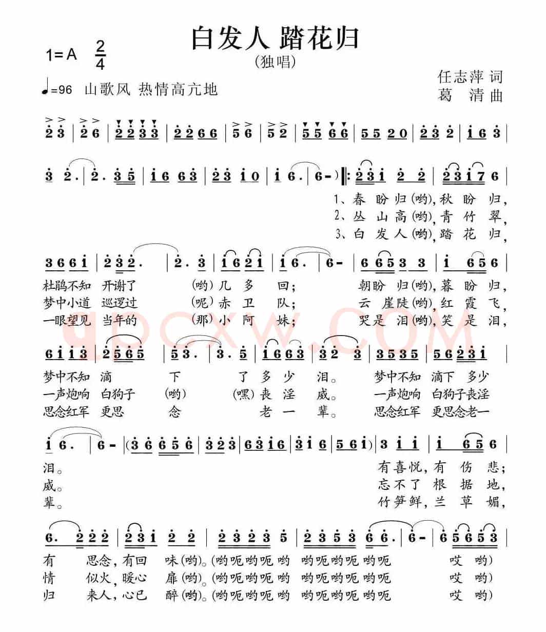 白发人 踏花归