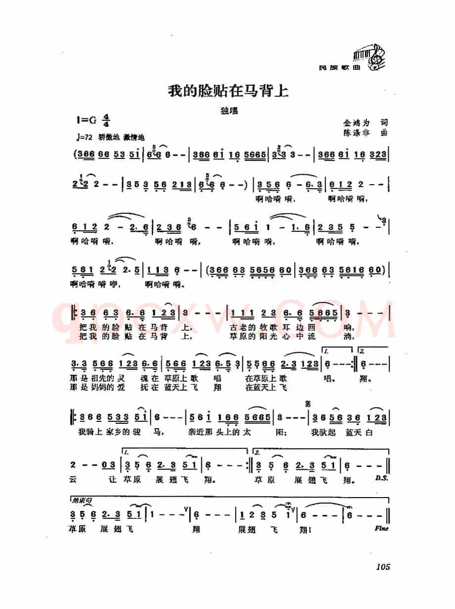 我的脸贴在马背上