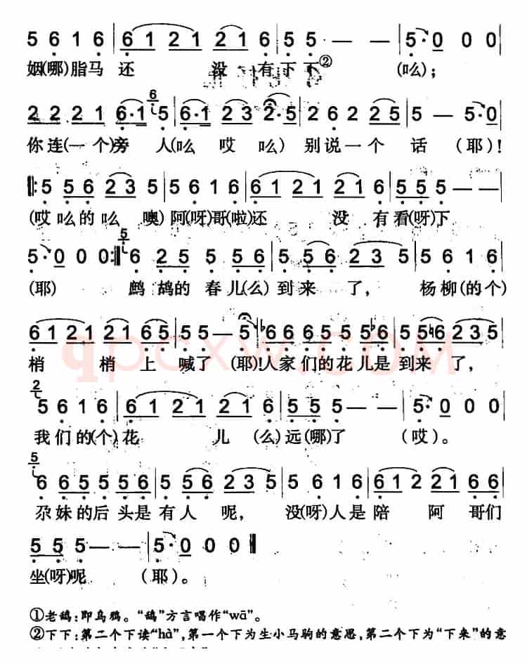 喜鹊窝里的灵芝草（吉木萨尔回族民歌）