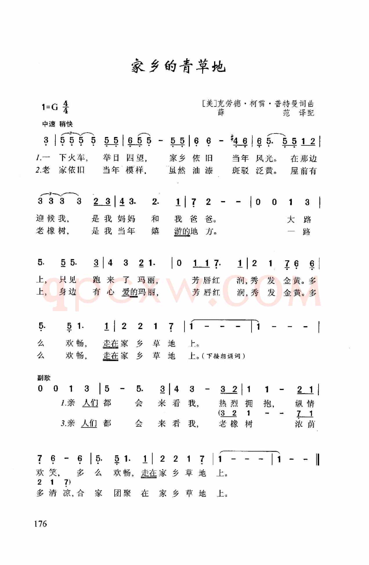 家乡的青草地