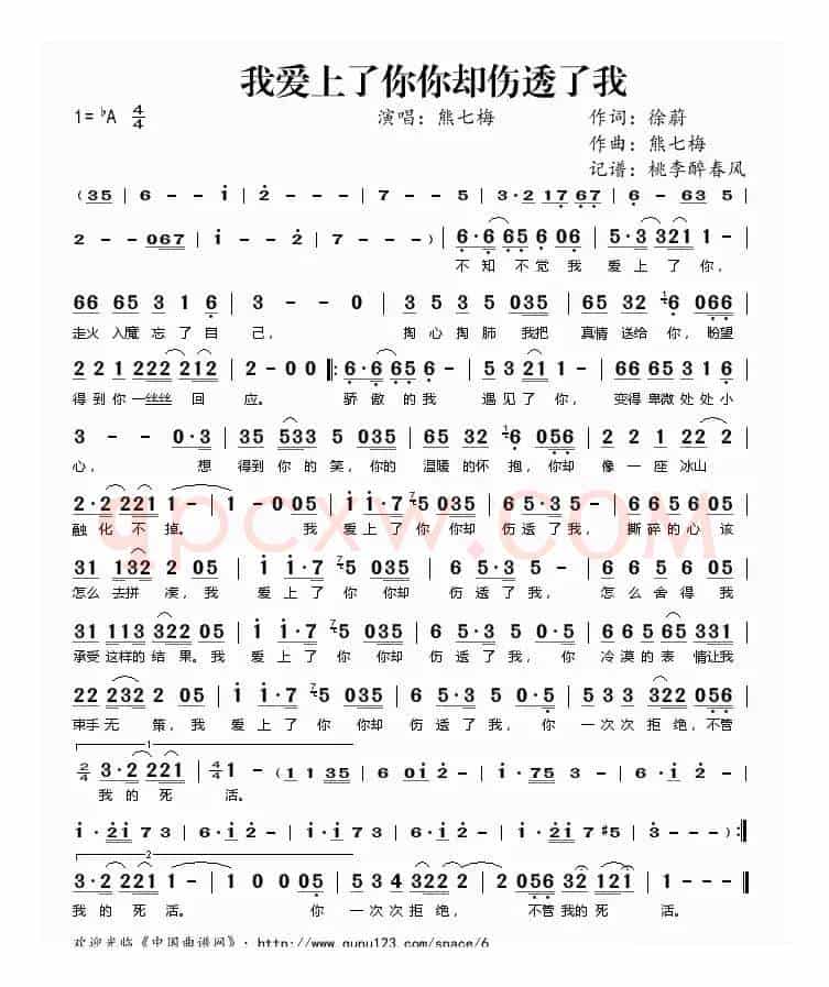 我爱上了你你却伤透了我