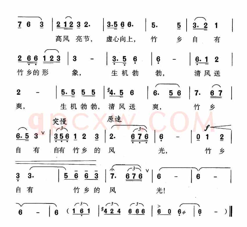 楠竹的海洋