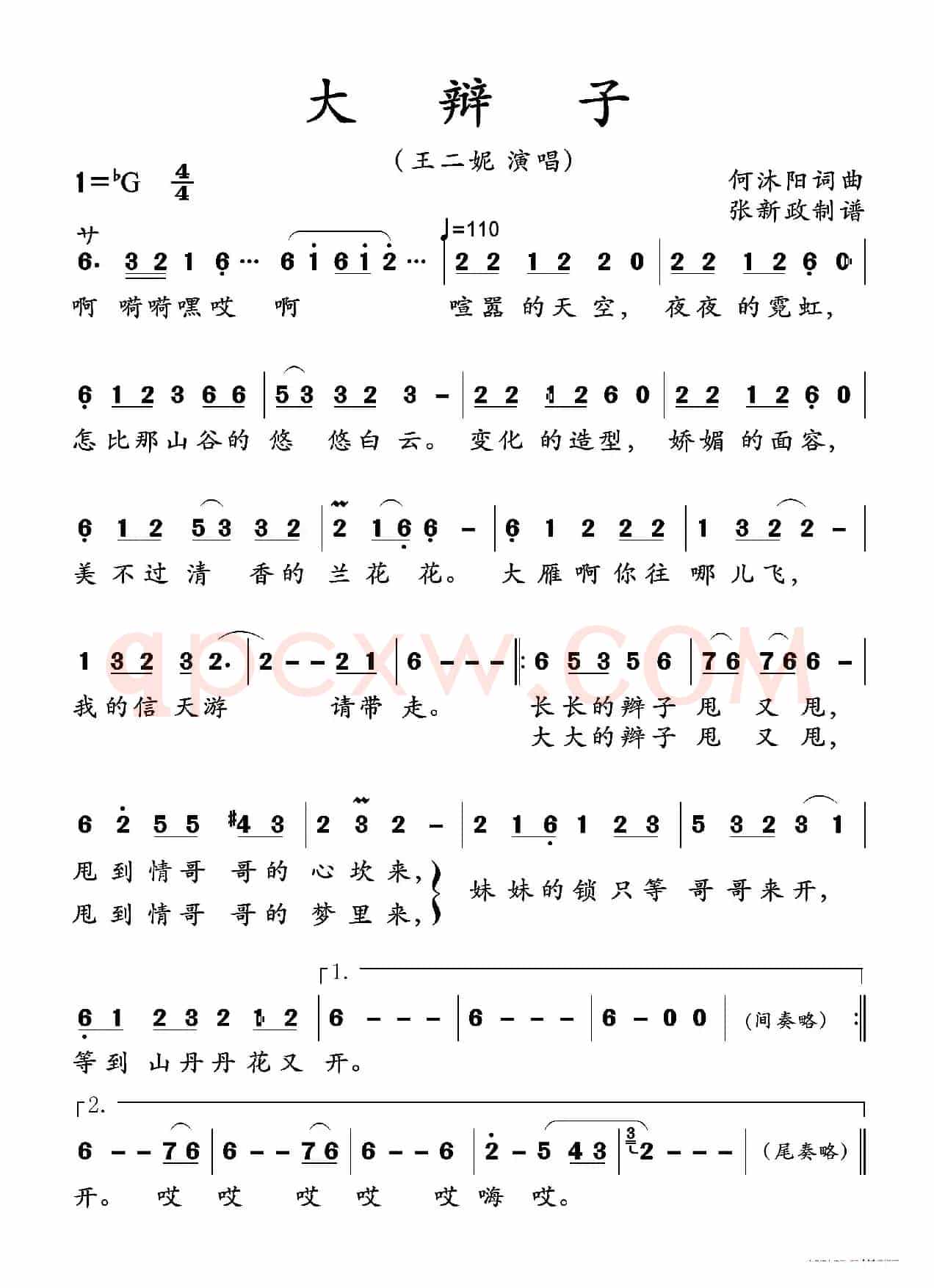 大辩子（王二妮演唱）