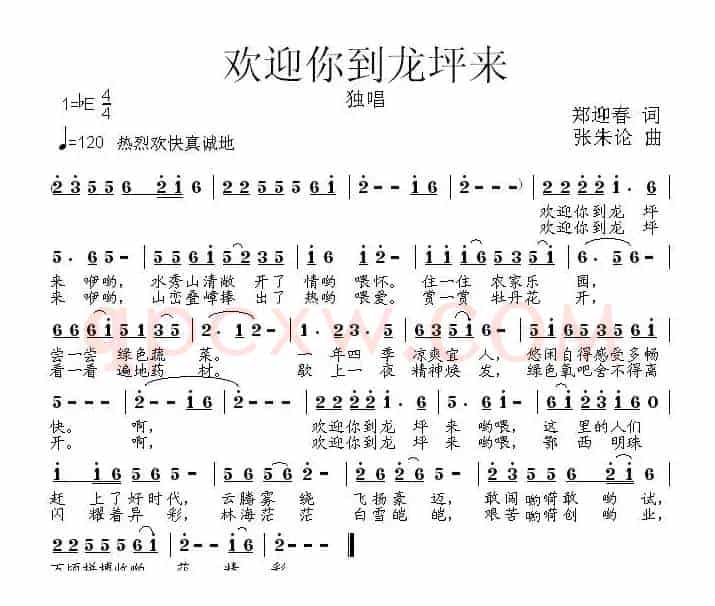 欢迎你到龙坪来