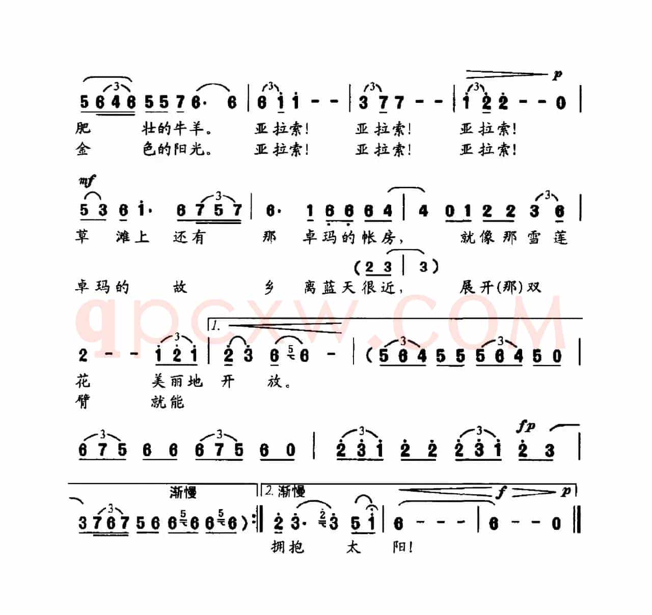 卓玛的故乡（金鸿为词 晨歌曲）