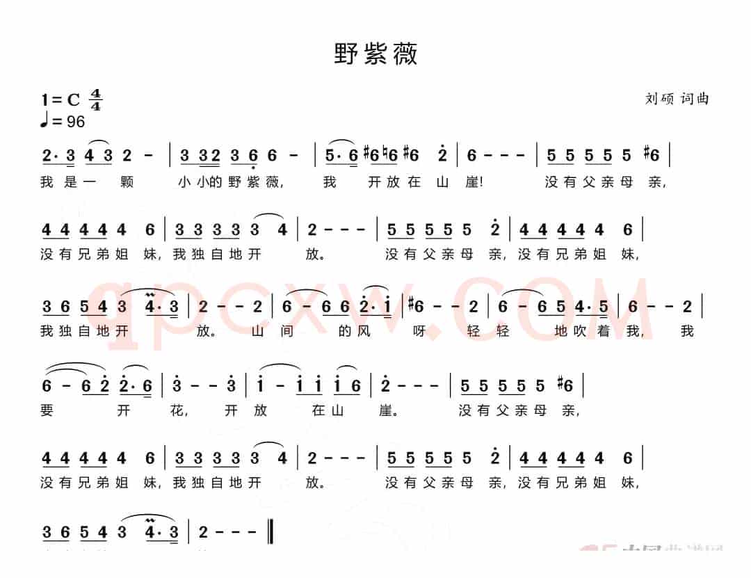野紫薇