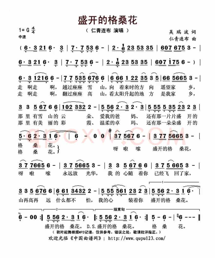 盛开的格桑花