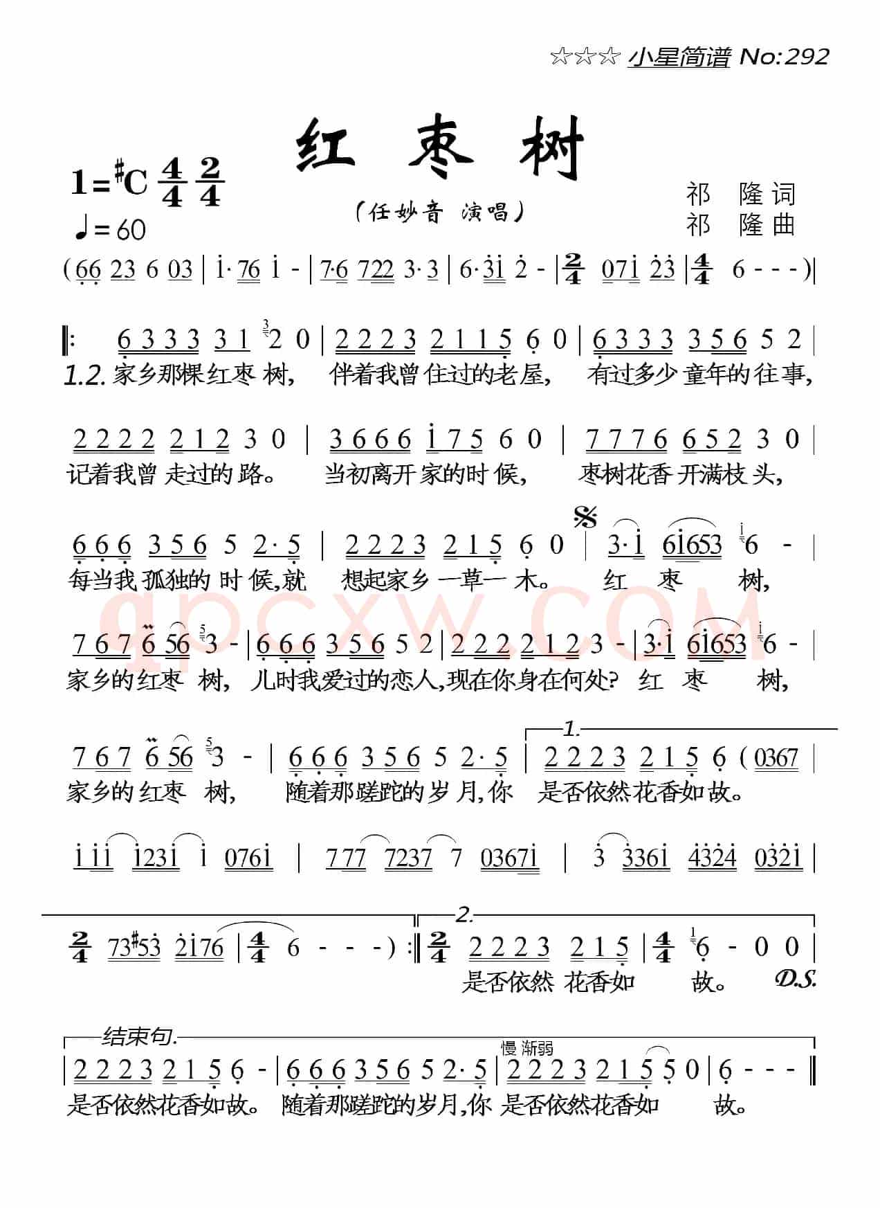 红枣树