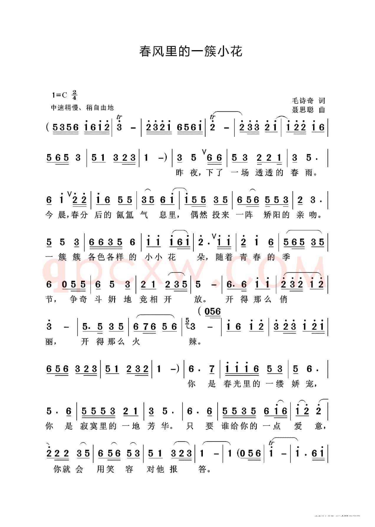 春风里的一簇小花