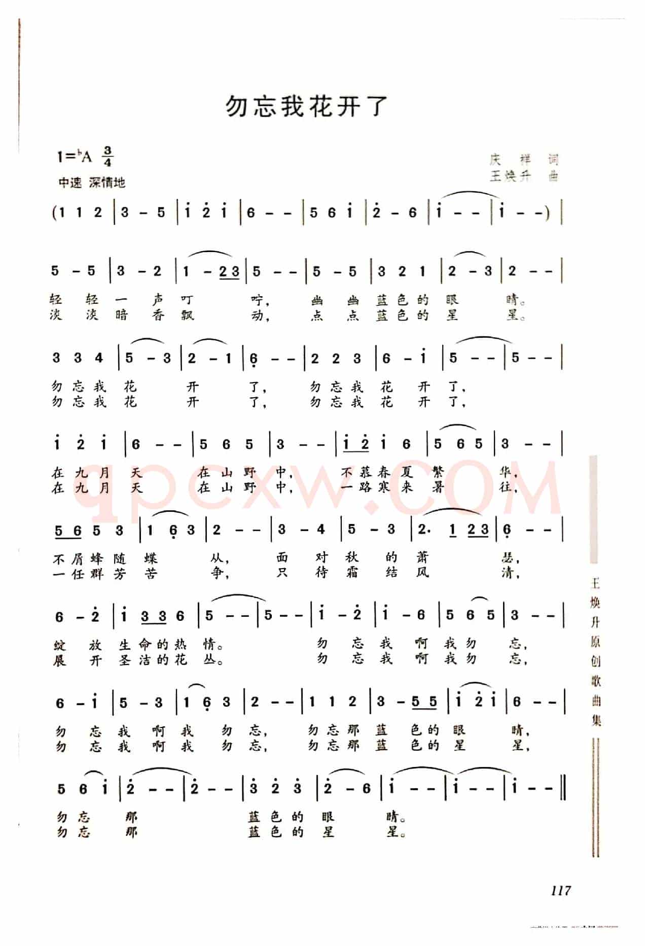 勿忘我花开了
