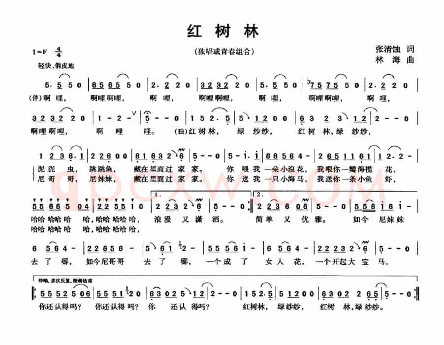 红树林