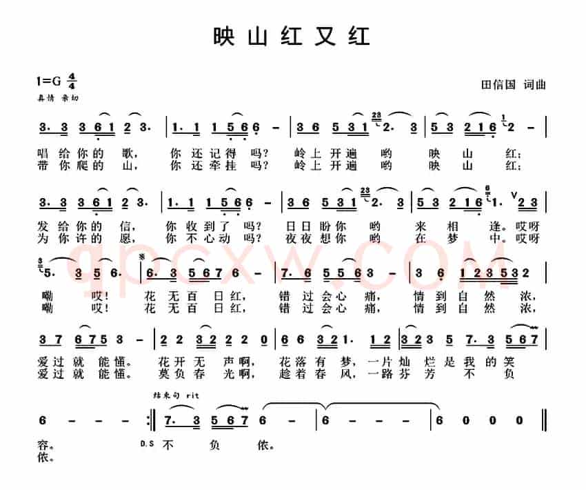 映山红又红