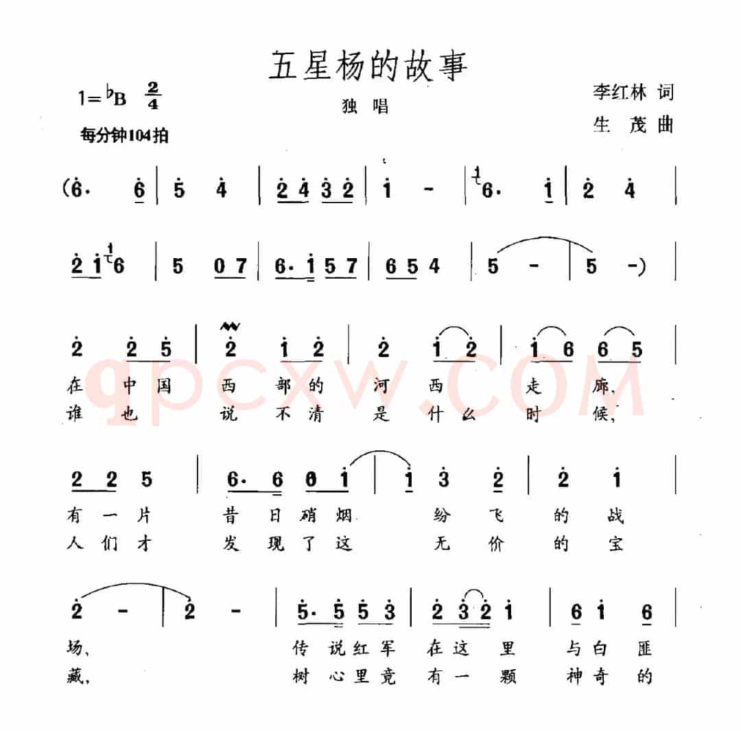 五星杨的故事