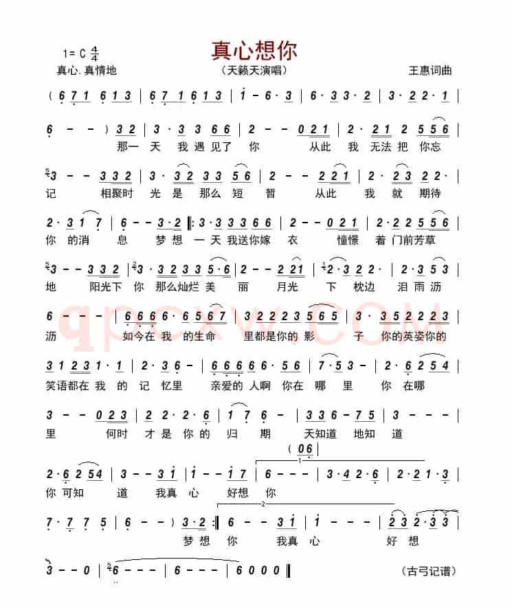 真心想你