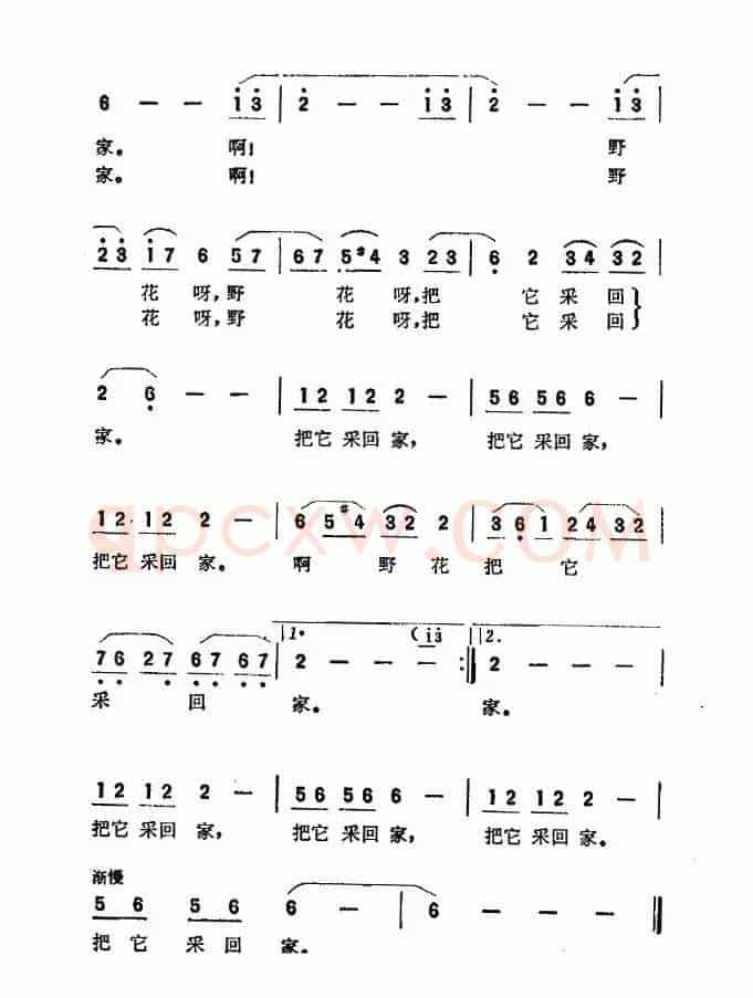 啊野花野花（故事影片《扬帆》插曲）