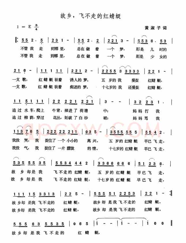故乡，飞不走的红蜻蜓
