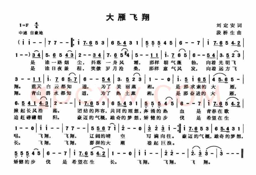 大雁飞翔