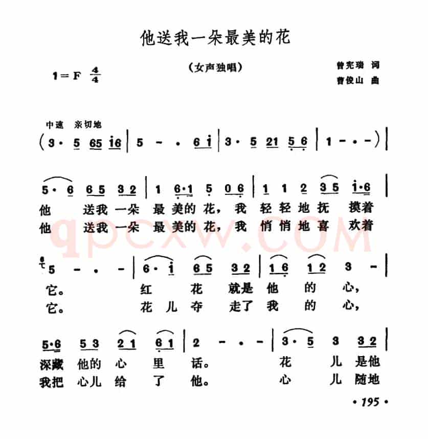他送我一朵最美的花 