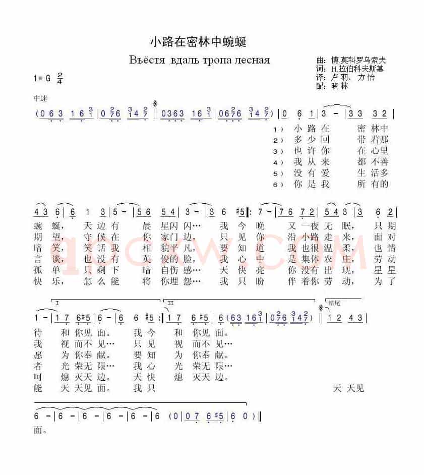 小路在密林中蜿蜒