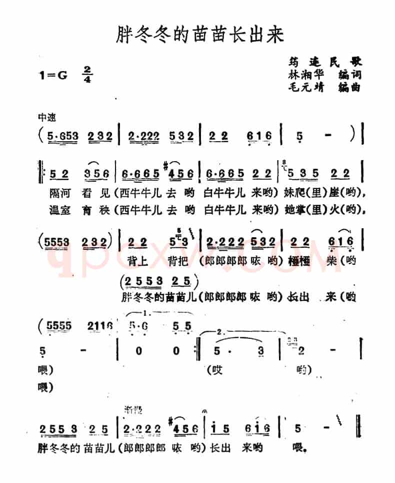 胖冬冬的苗苗长出来