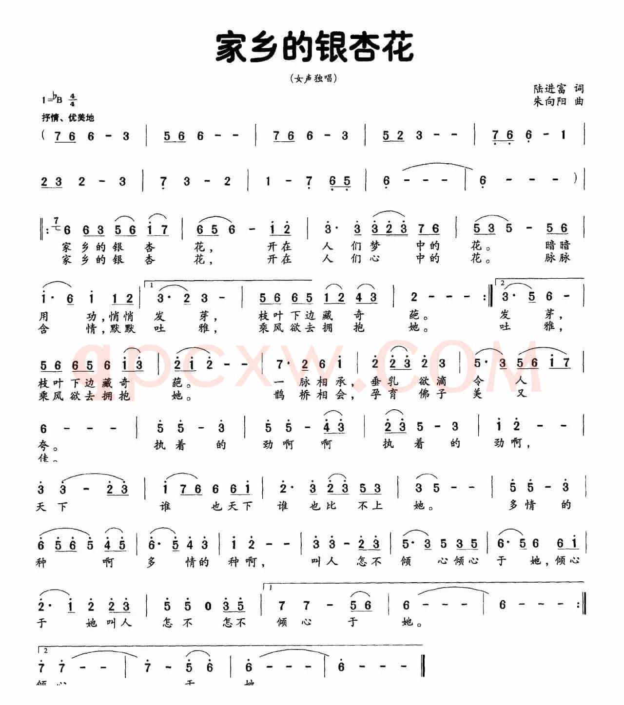 家乡的银杏花