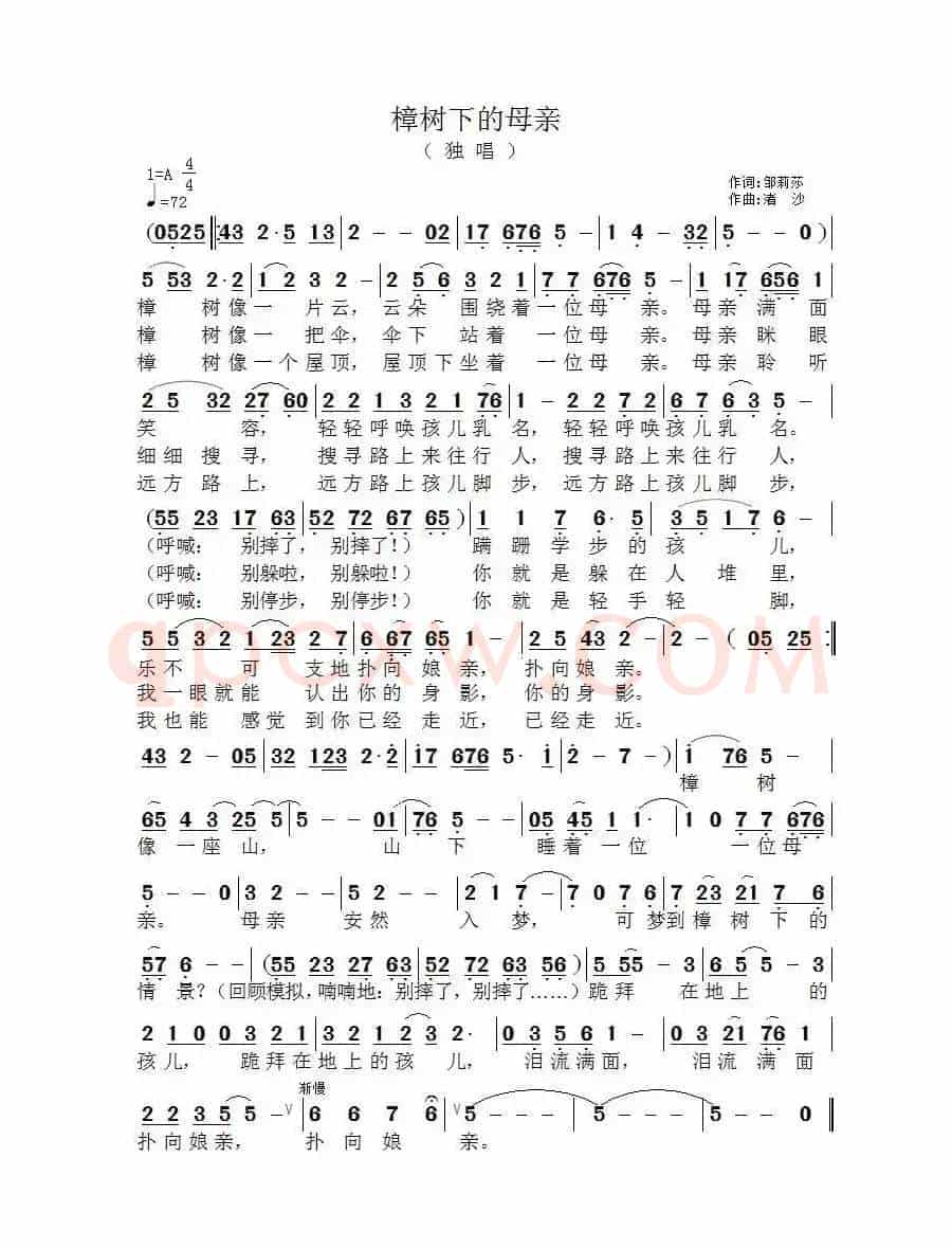 樟树下的母亲