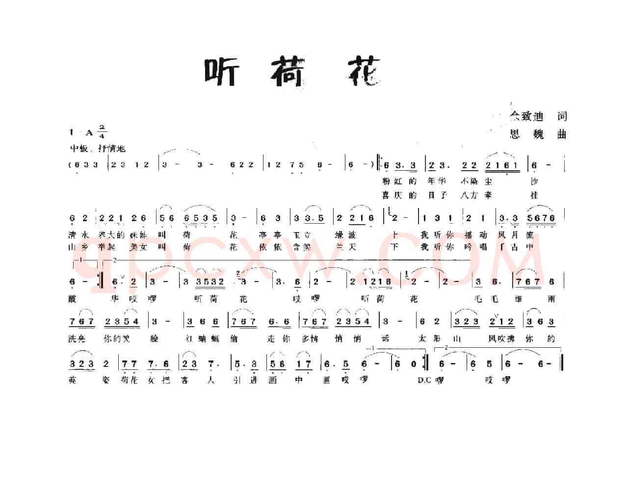 听荷花