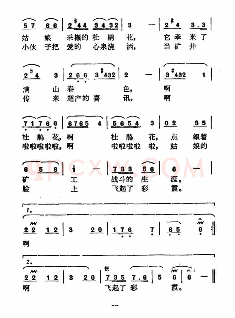 井架上的杜鹃花