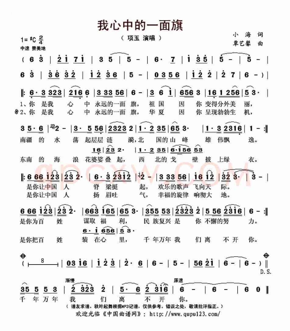 我心中的一面旗
