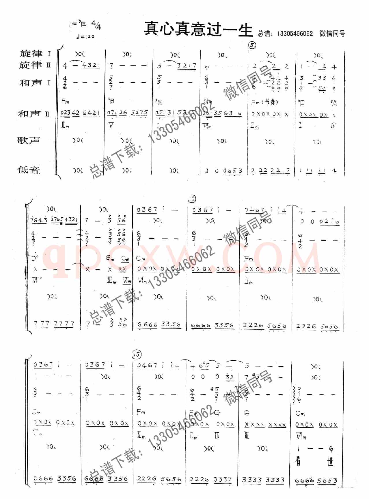 真心真意过一生（乐队总谱）