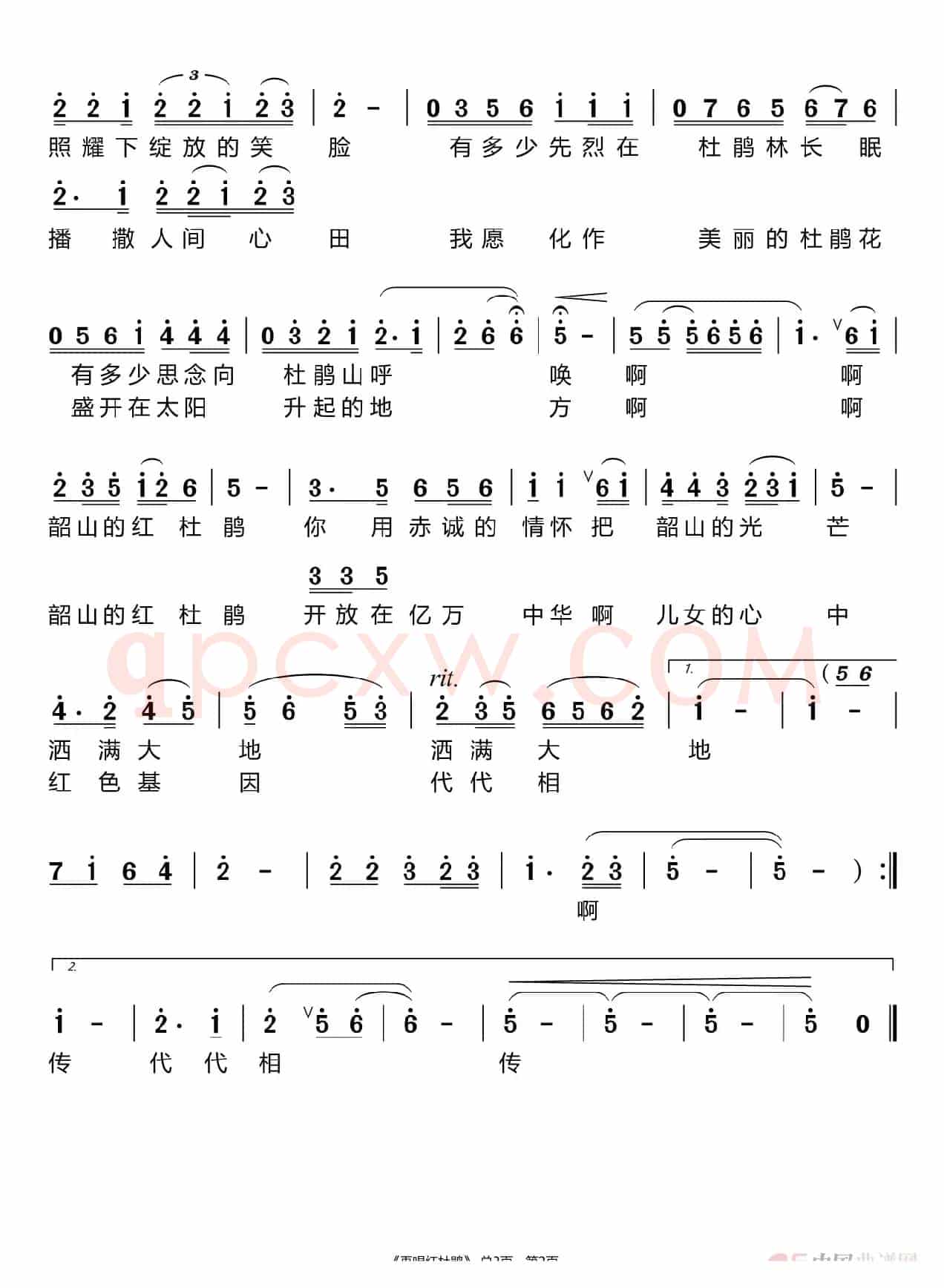 再唱红杜鹃（查森娜）