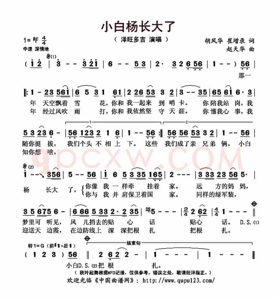 小白杨长大了 