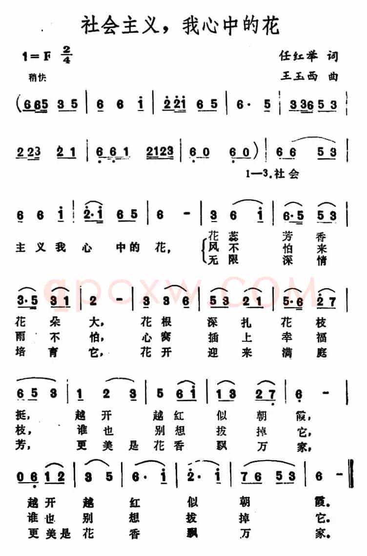 社会主义，我心中的花 