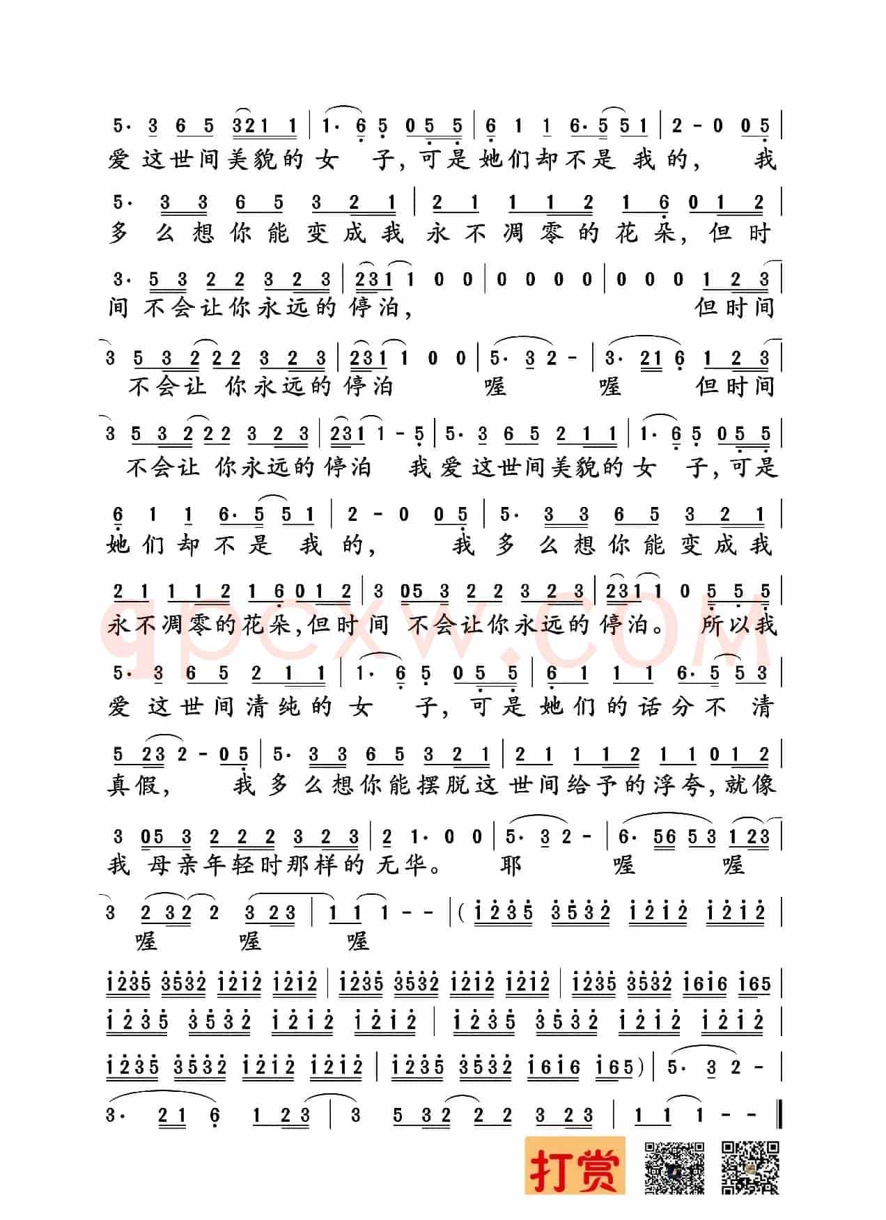 朵（赵雷词曲）