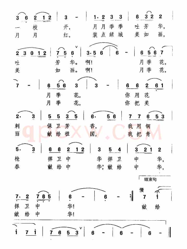 月季花（金黎词 万长海曲）