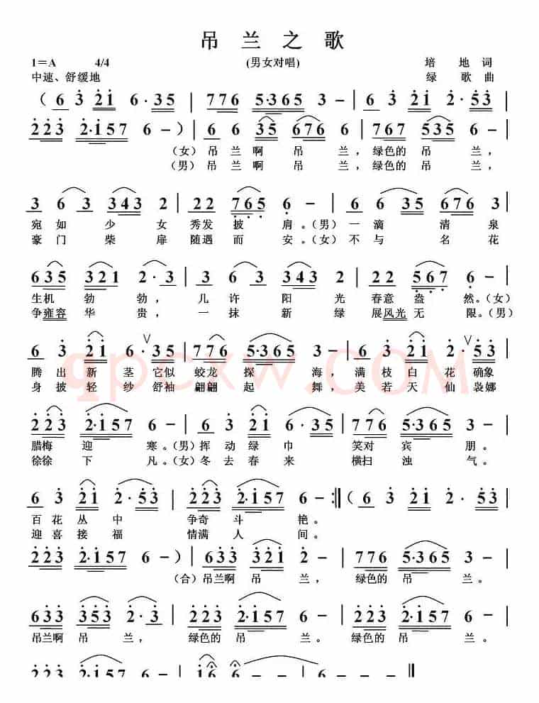 吊兰之歌