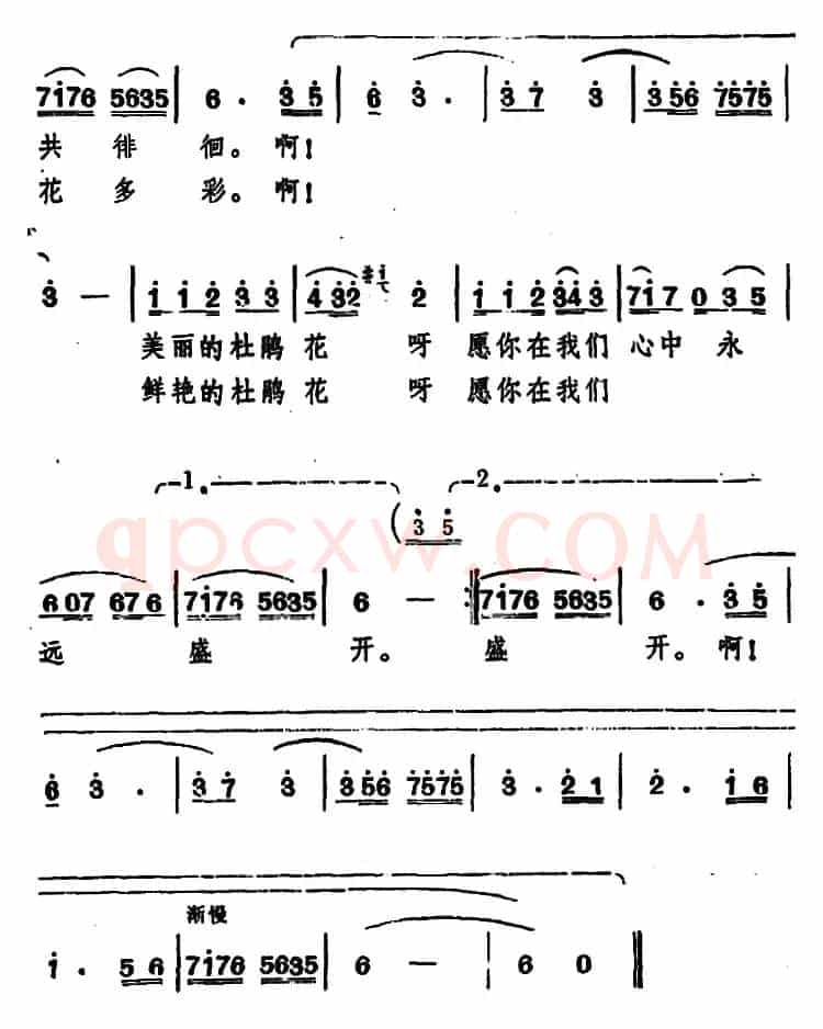 啊！杜鹃花呀（科教片《四川杜鹃花》插曲）