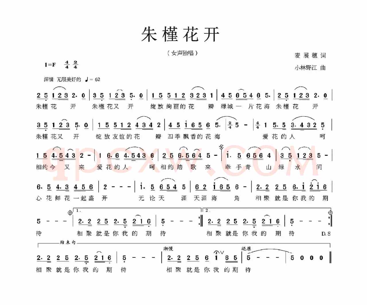 朱槿花开（麦展穗词 小林野江曲）
