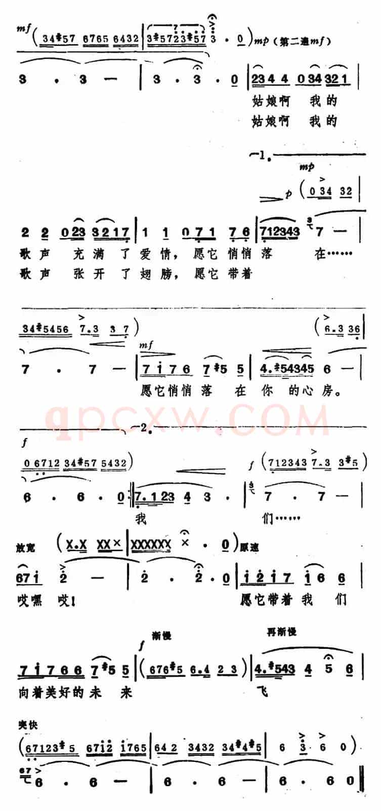 塔吉克情歌