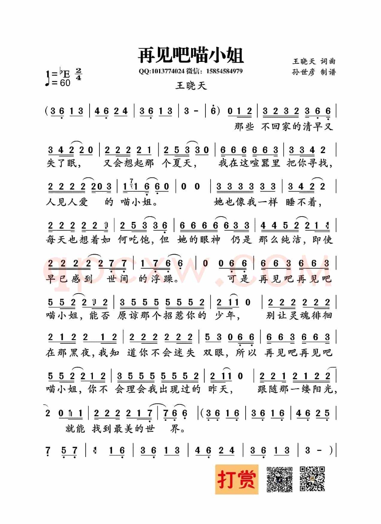 再见吧喵小姐（王晓天词曲）